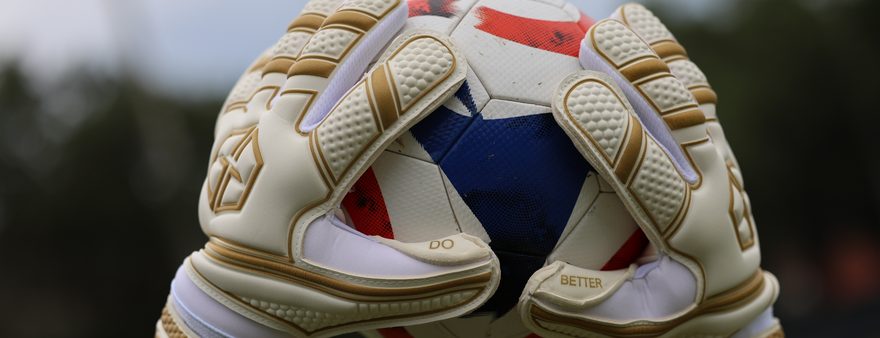 Golden Glove GK gloves